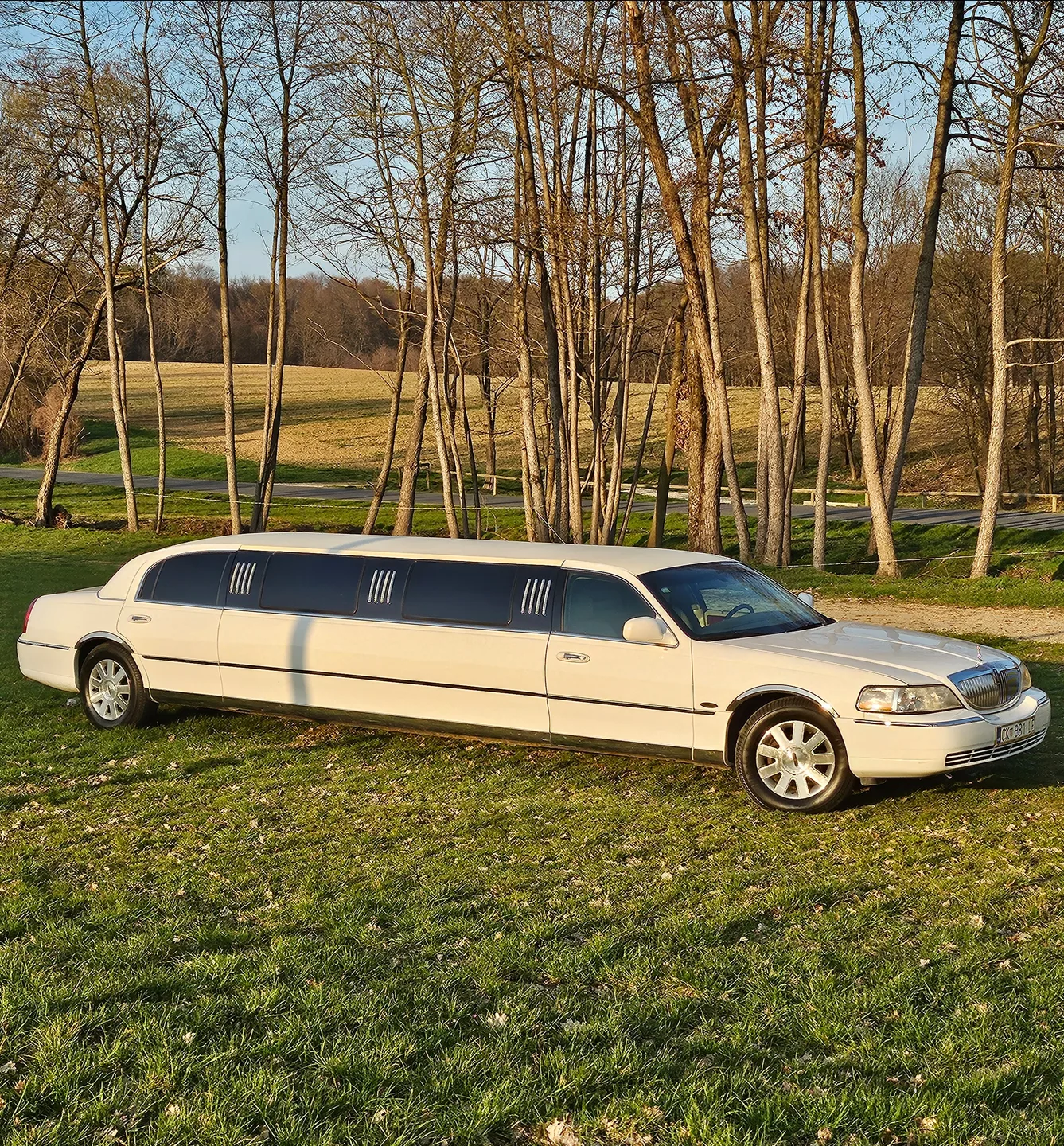 Lincoln Town